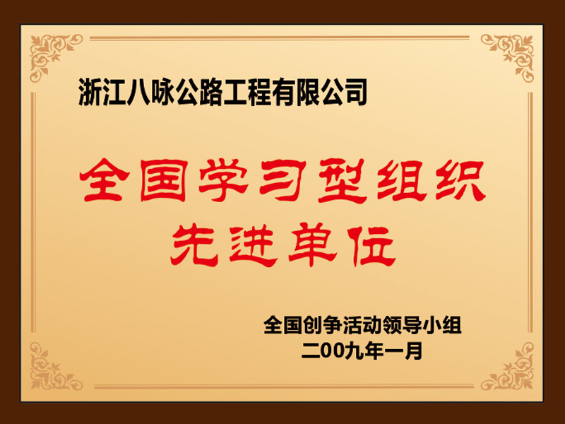 2009学习型组织