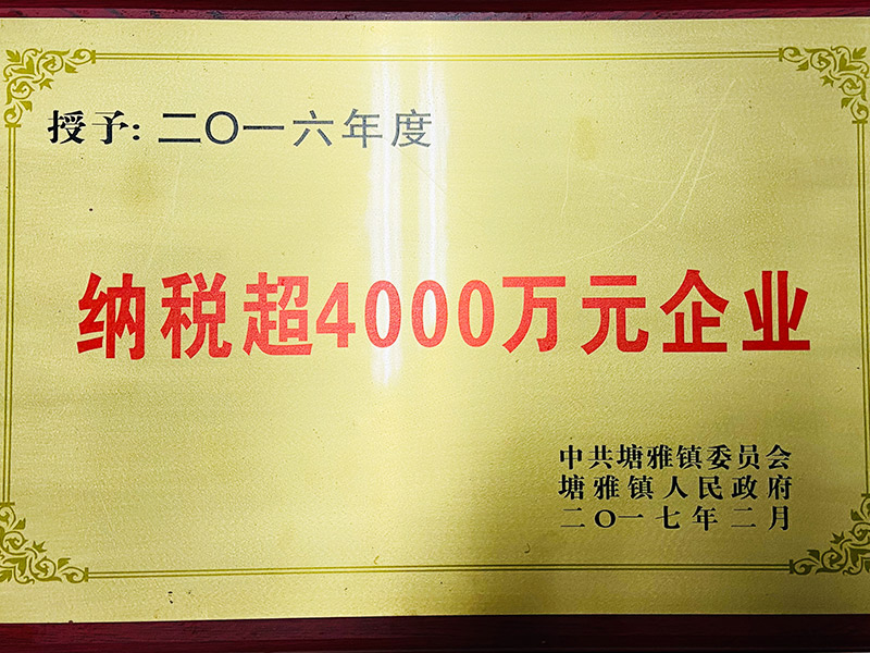 2016年度纳税超4000万-塘雅镇}